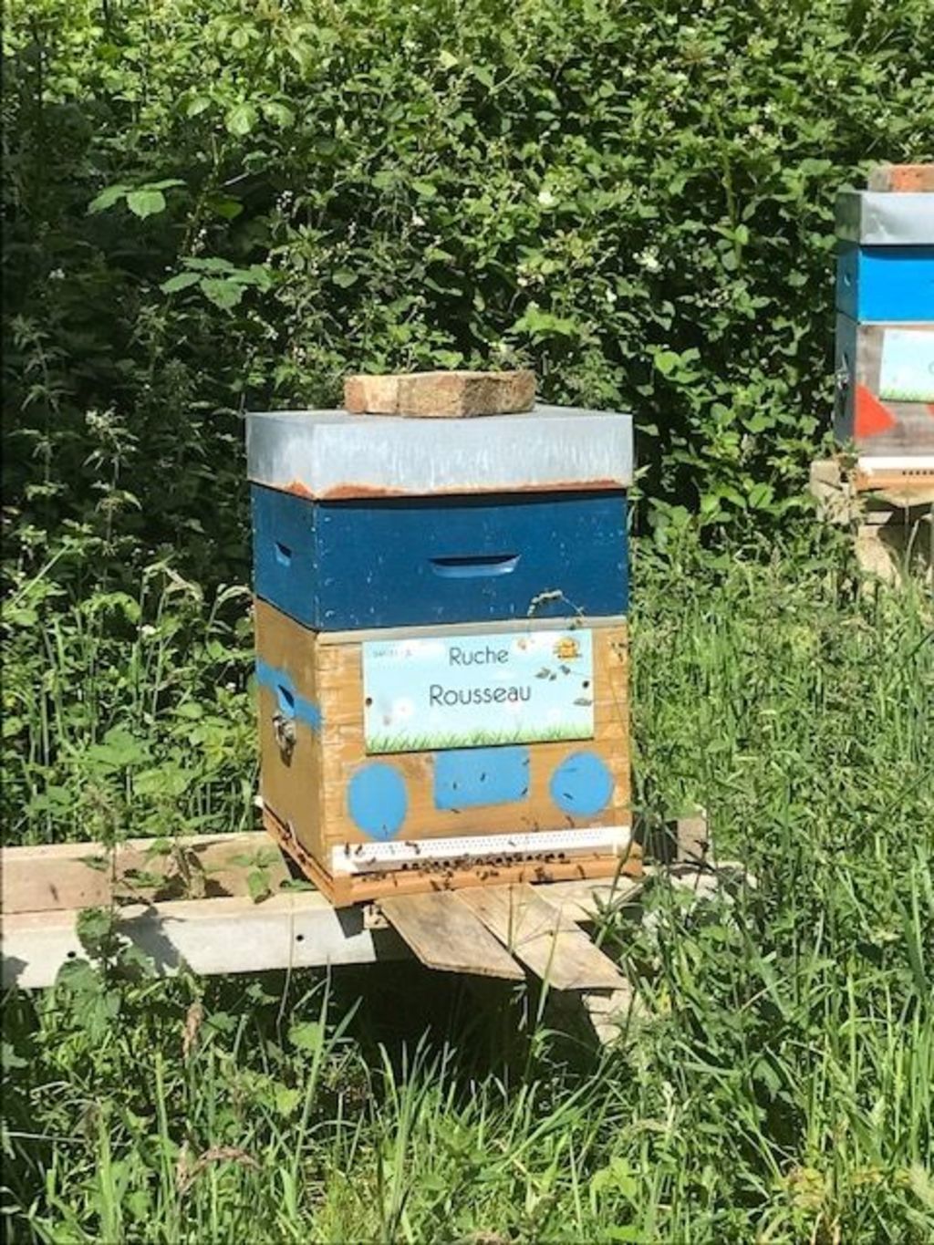 La ruche Rousseau
