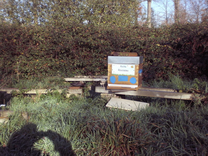 La ruche Rousseau
