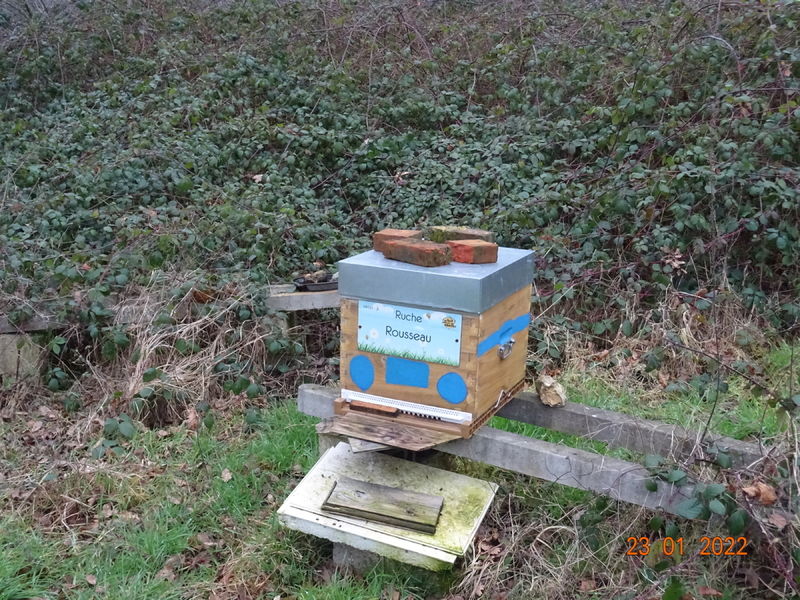 La ruche Rousseau