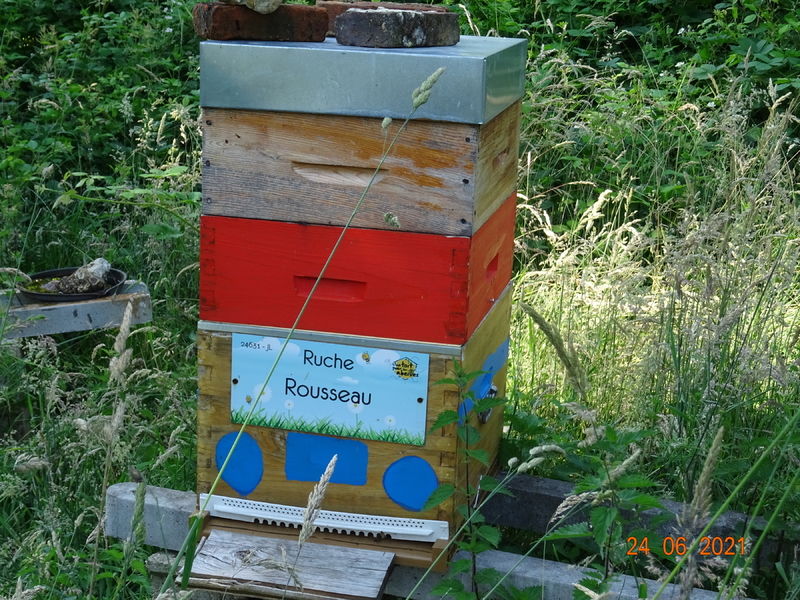 La ruche Rousseau