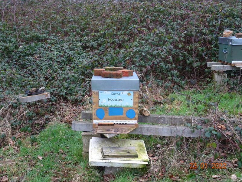 La ruche Rousseau