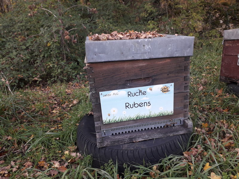 La ruche Rubens