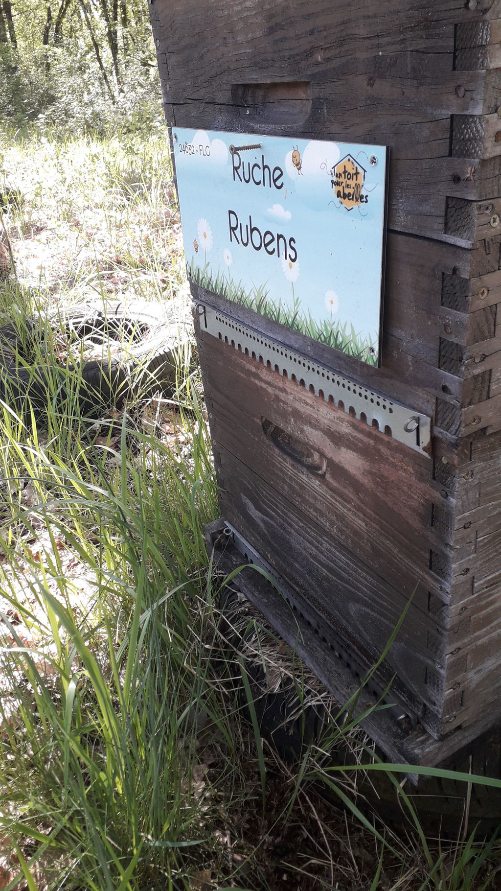 La ruche Rubens