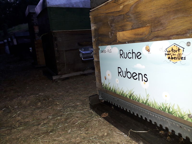 La ruche Rubens