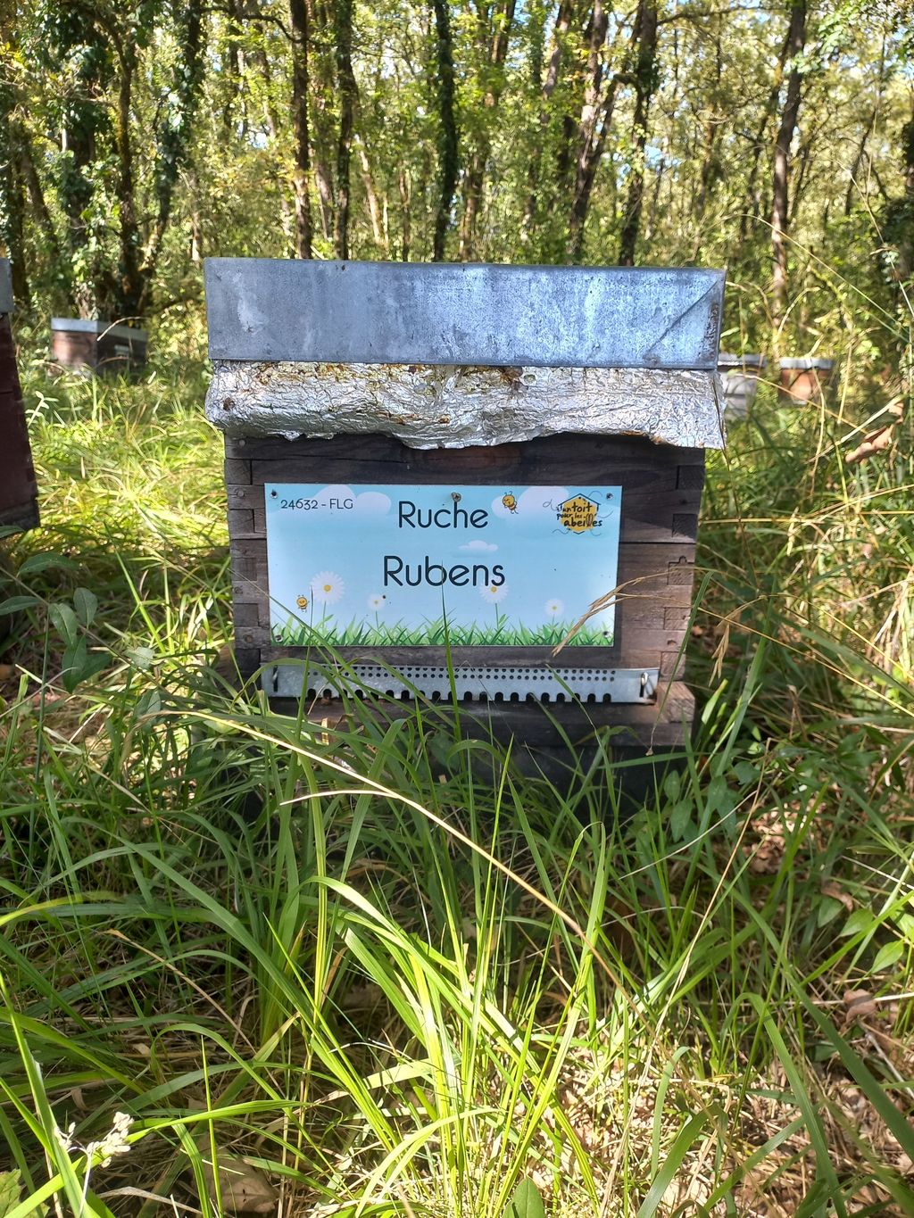 La ruche Rubens