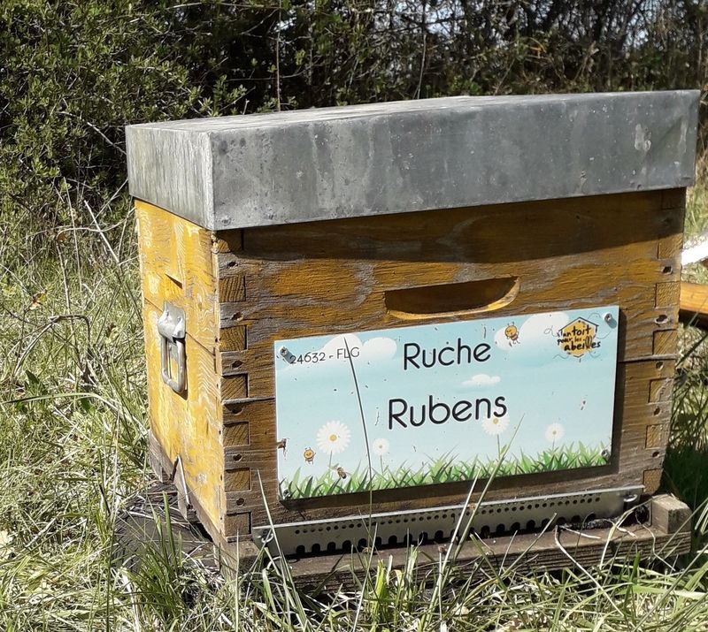 La ruche Rubens