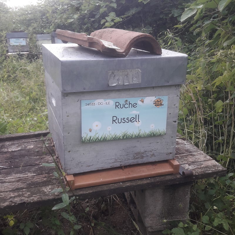 La ruche Russell