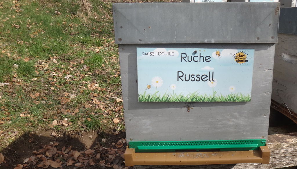 La ruche Russell