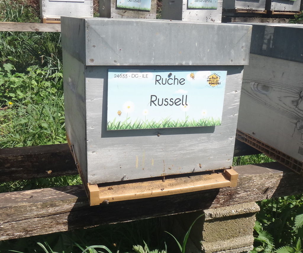 La ruche Russell