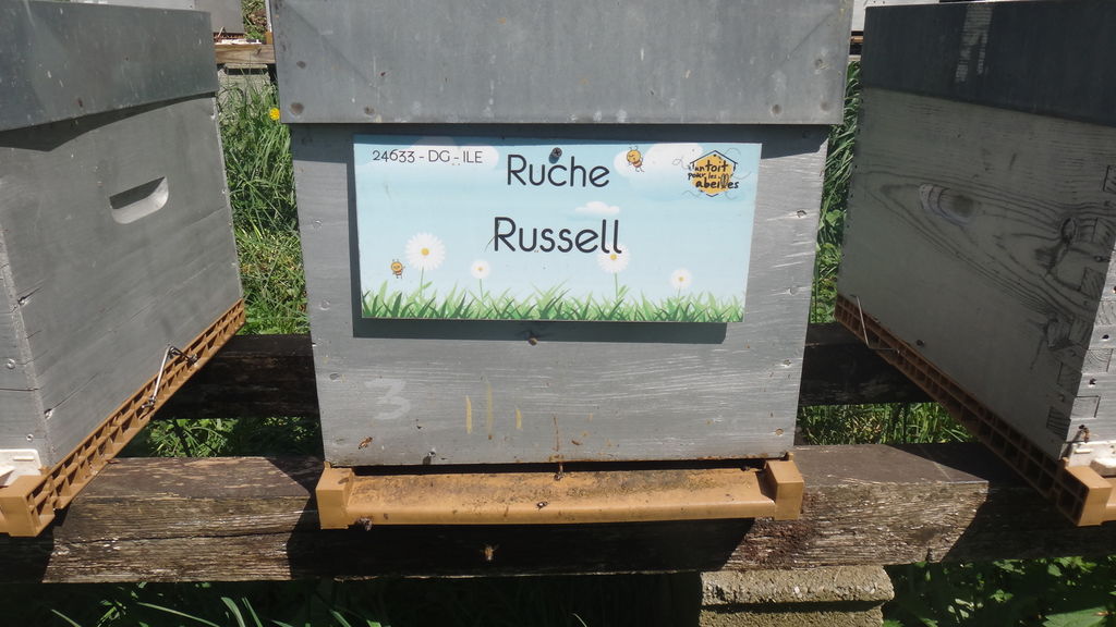 La ruche