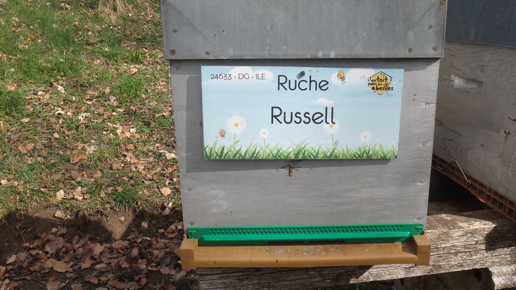 La ruche Russell
