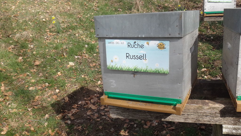 La ruche Russell