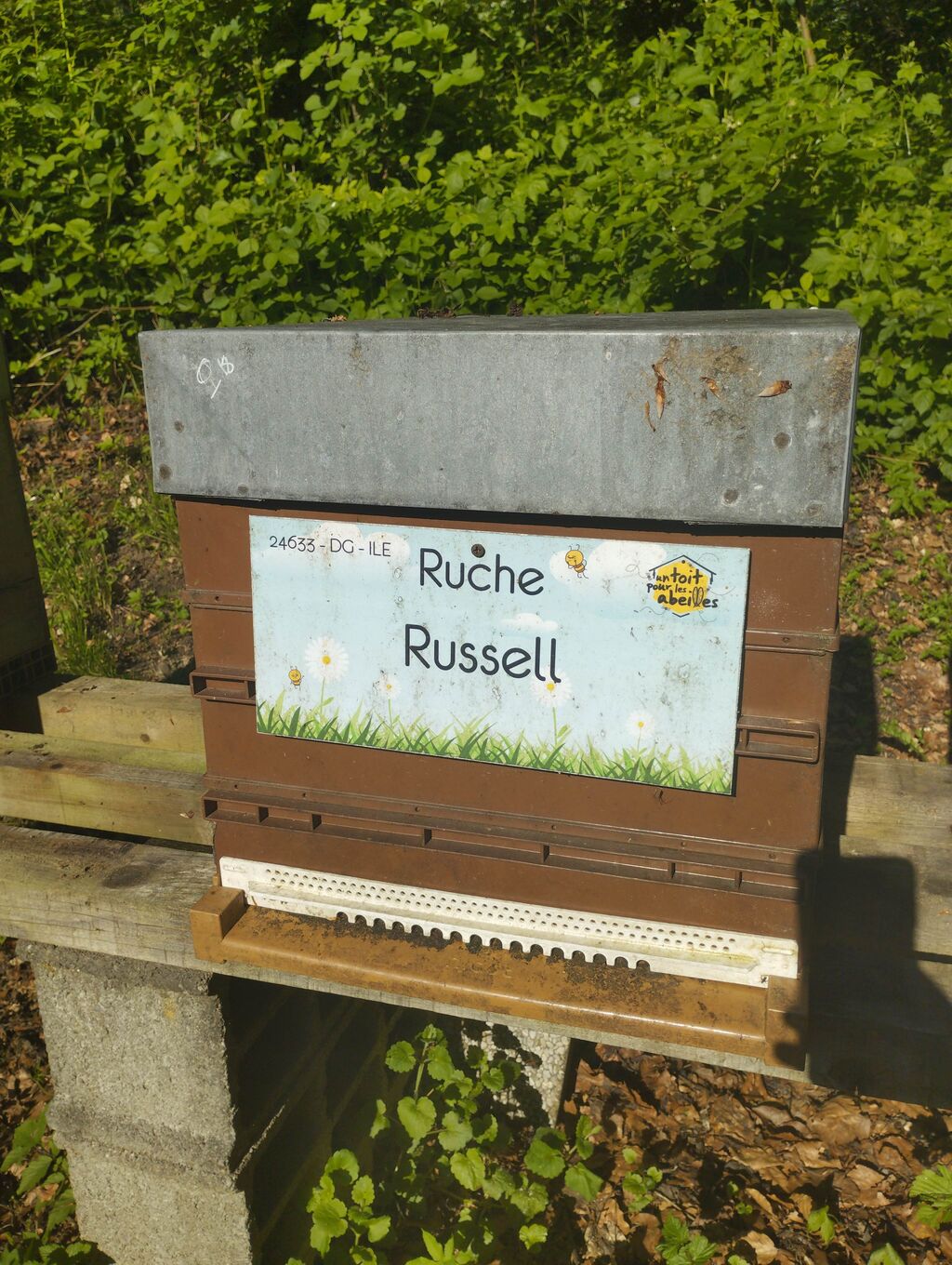 La ruche Russell