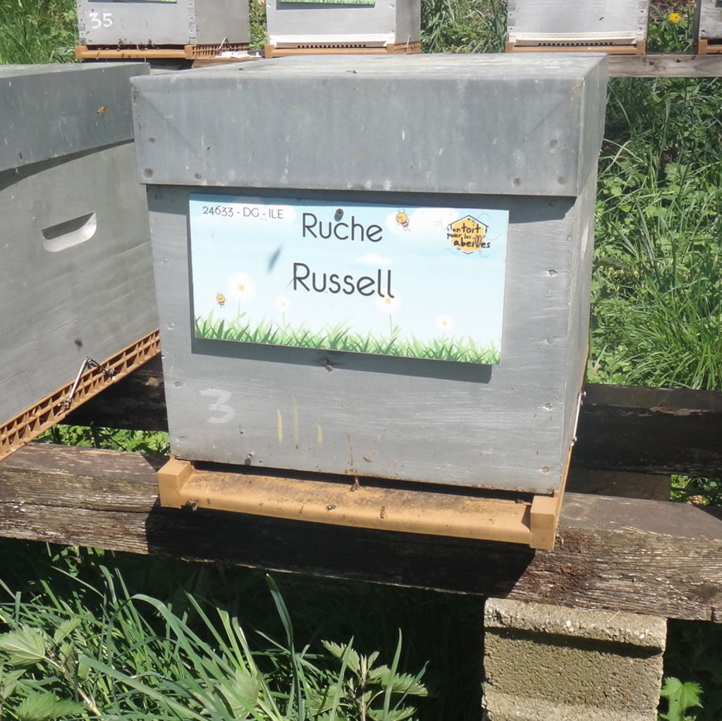 La ruche Russell