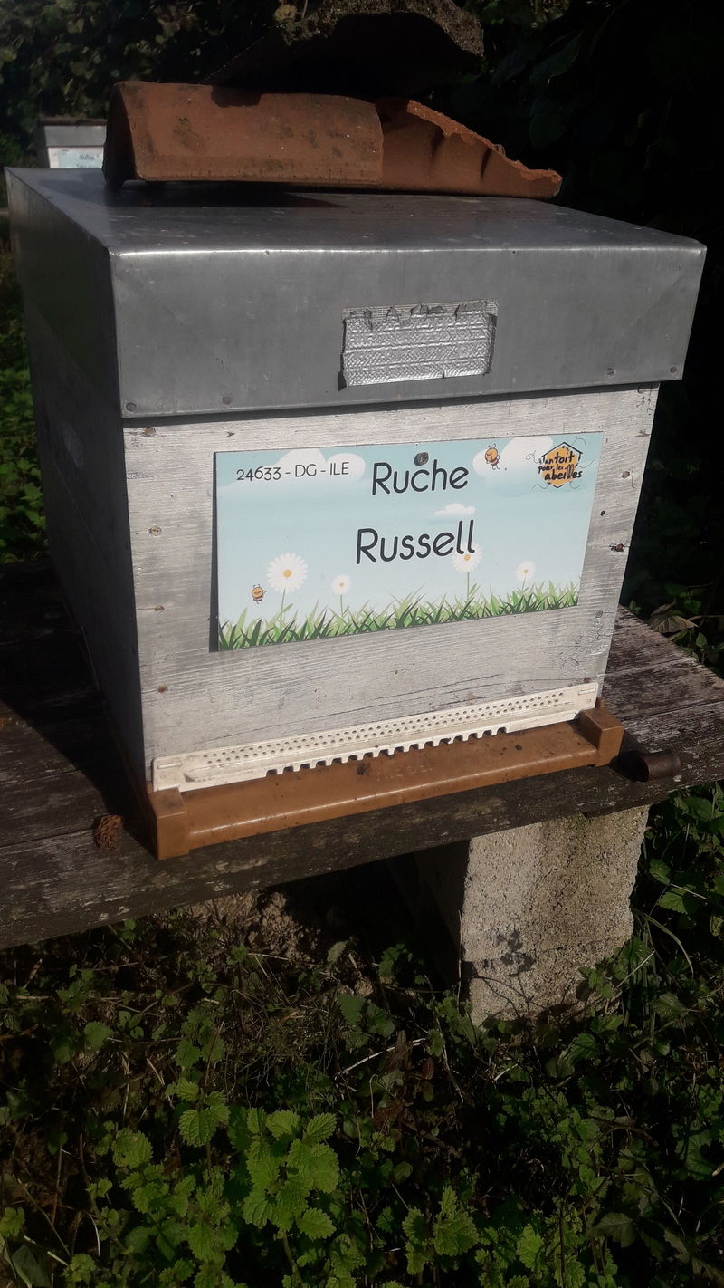 La ruche