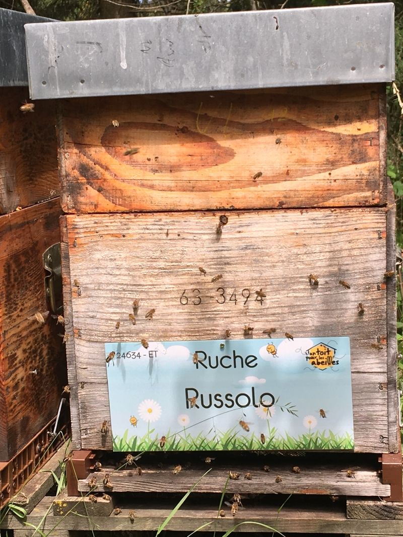 La ruche Russolo