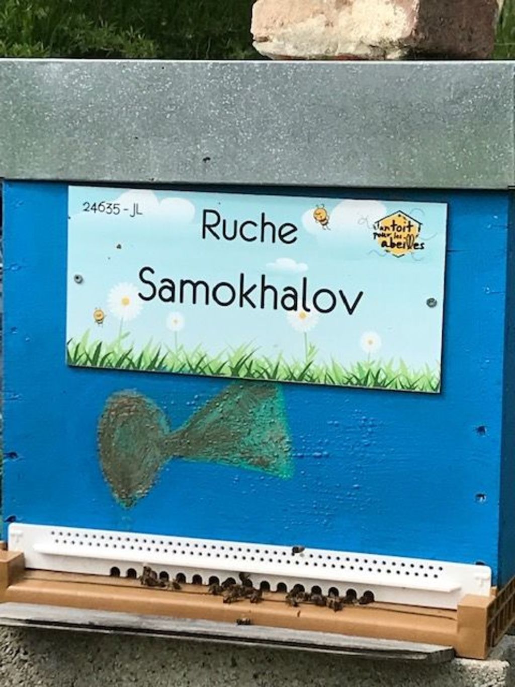 La ruche Samokhalov