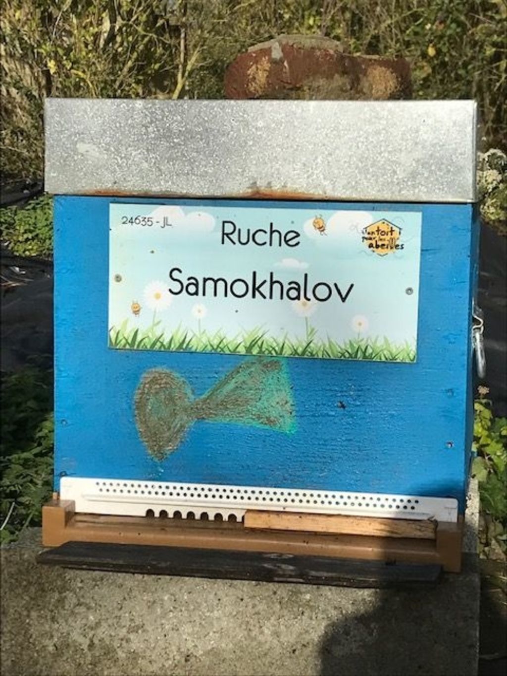 La ruche Samokhalov