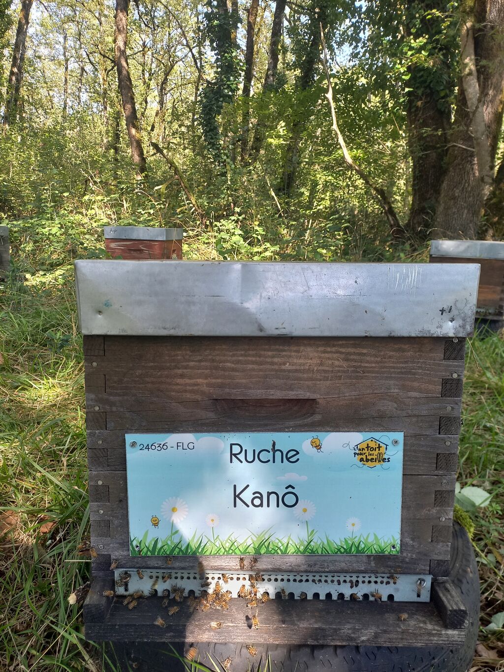 La ruche Kanô