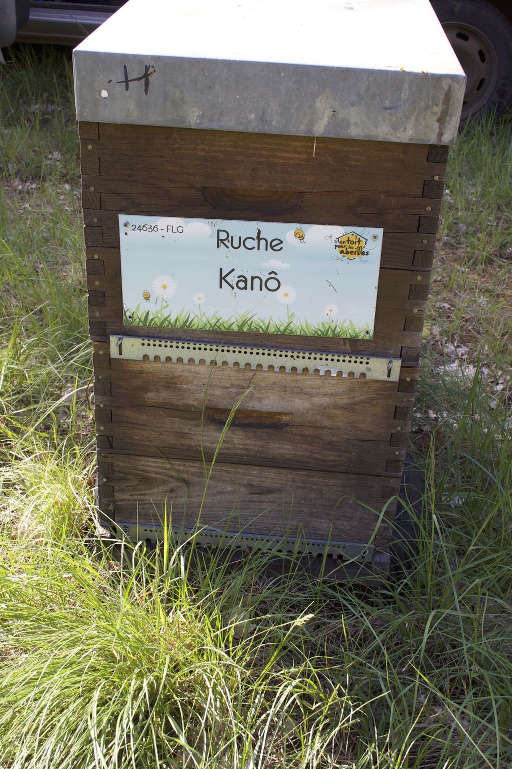 La ruche Kanô