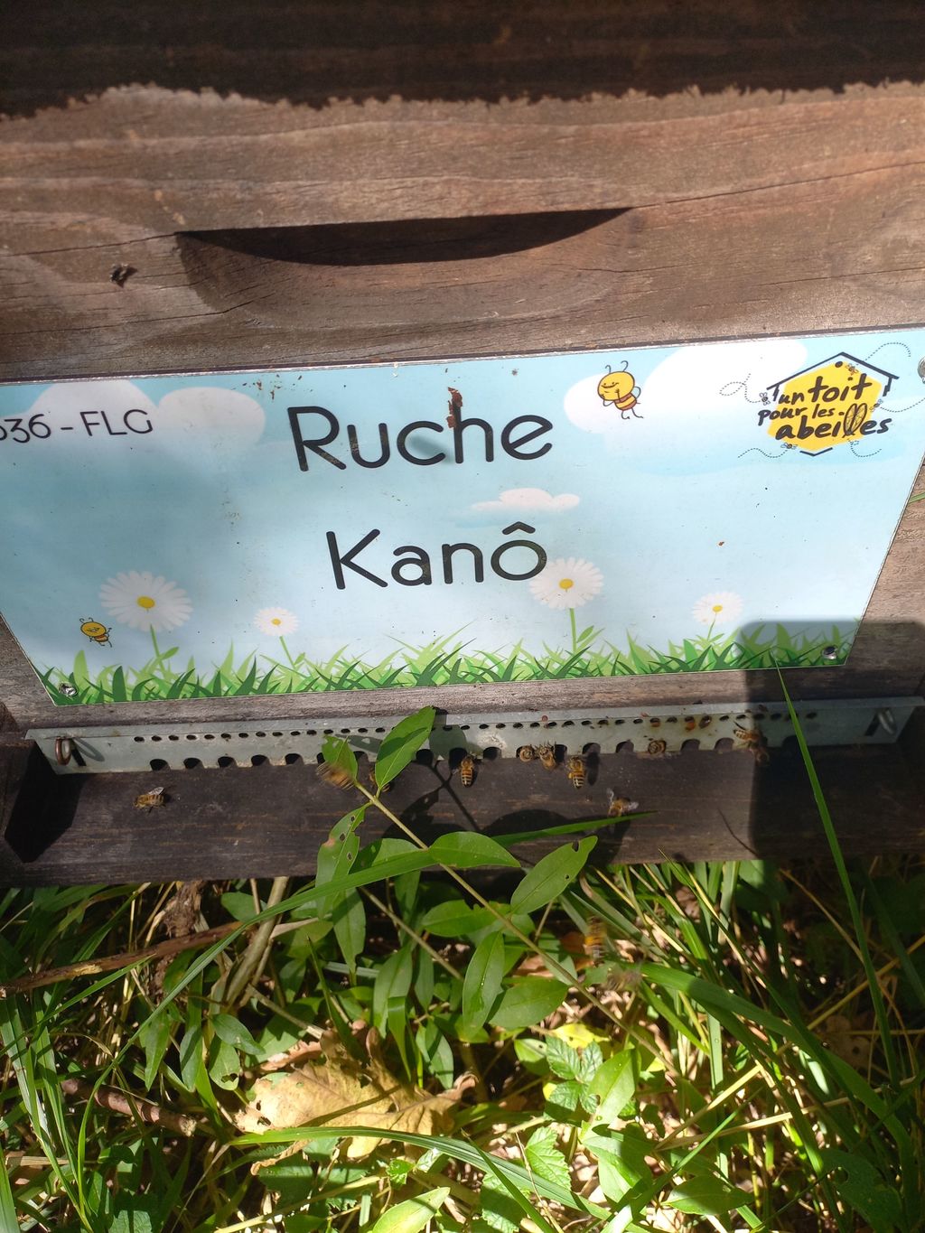 La ruche Kanô