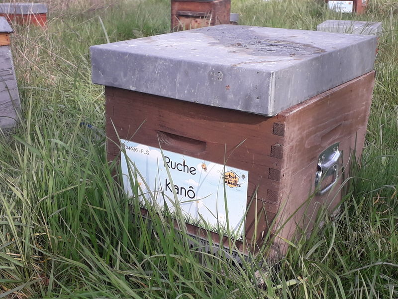 La ruche Kanô