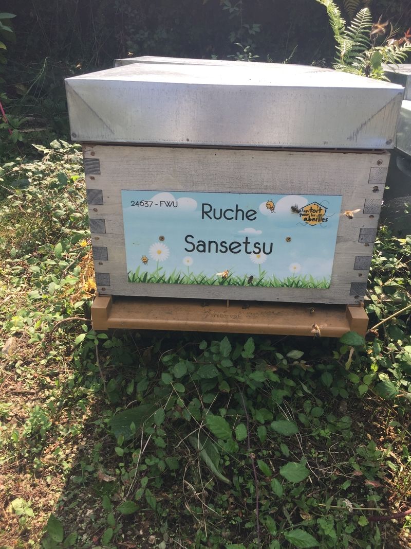 La ruche Sansetsu