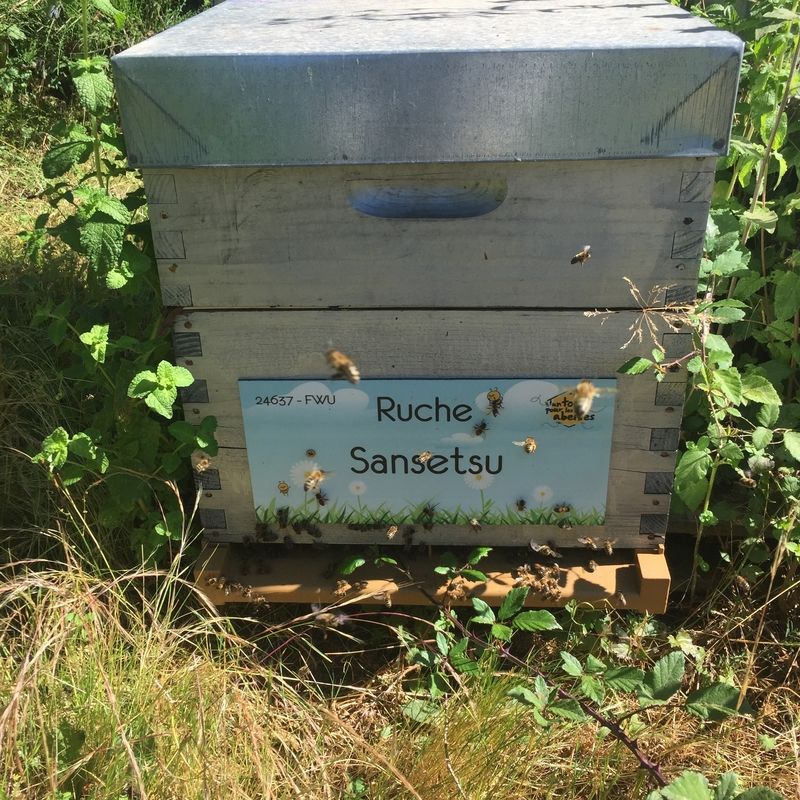 La ruche Sansetsu