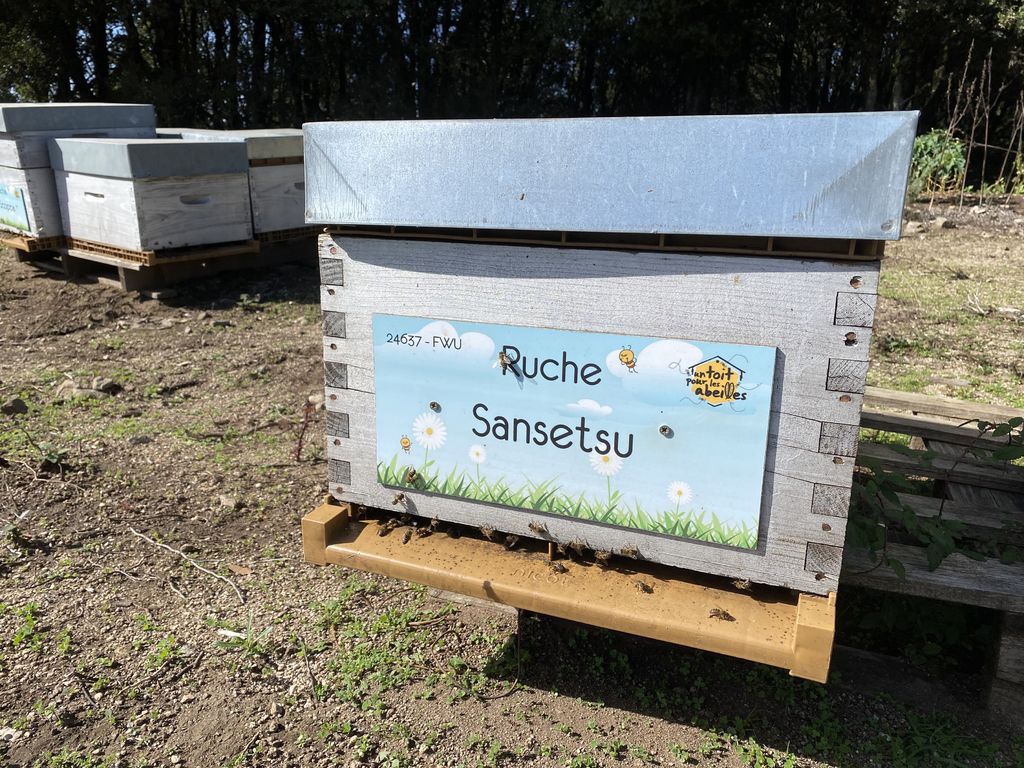 La ruche Sansetsu