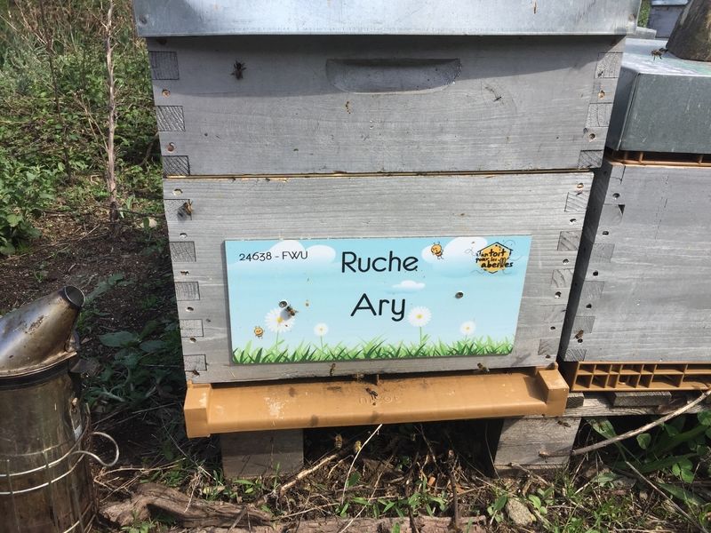 La ruche Ary