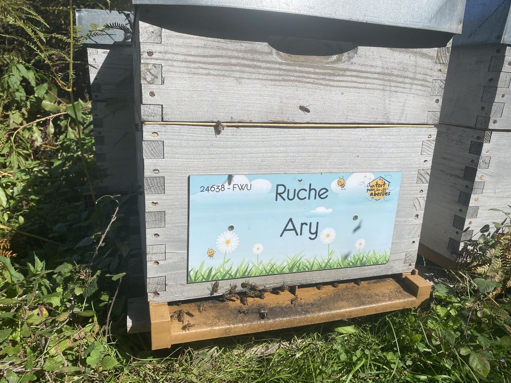 La ruche Ary