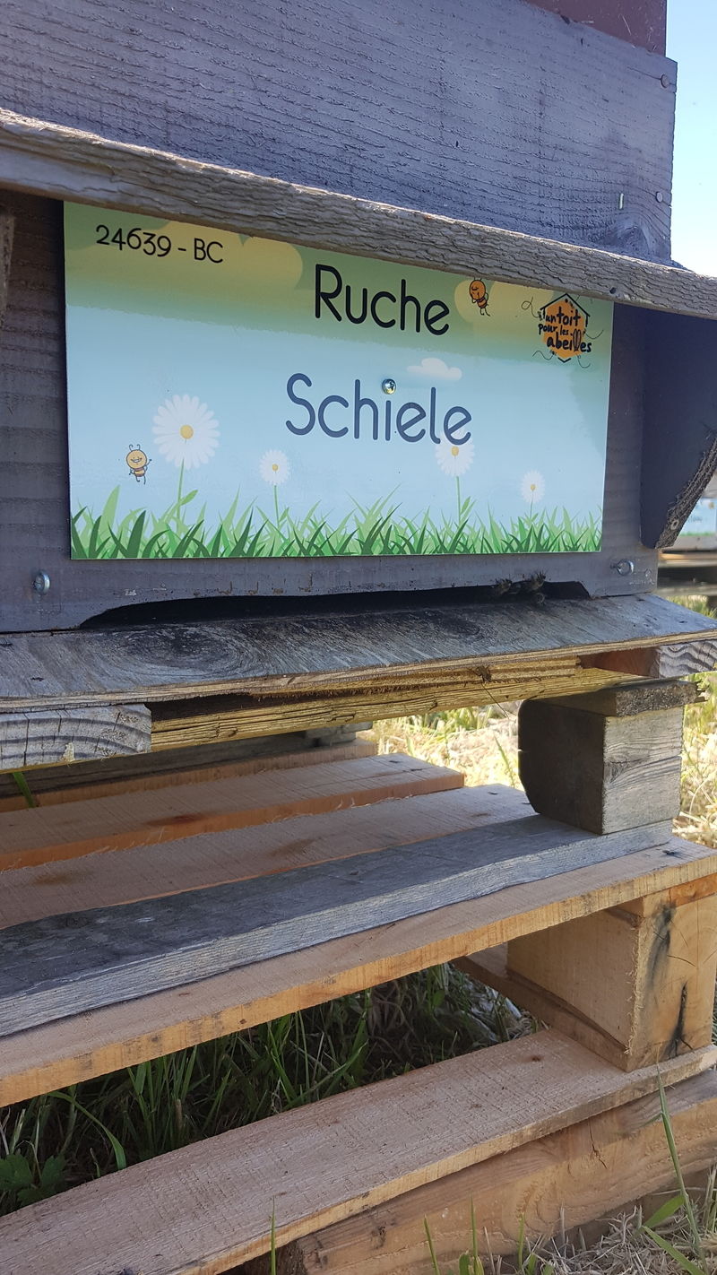 La ruche