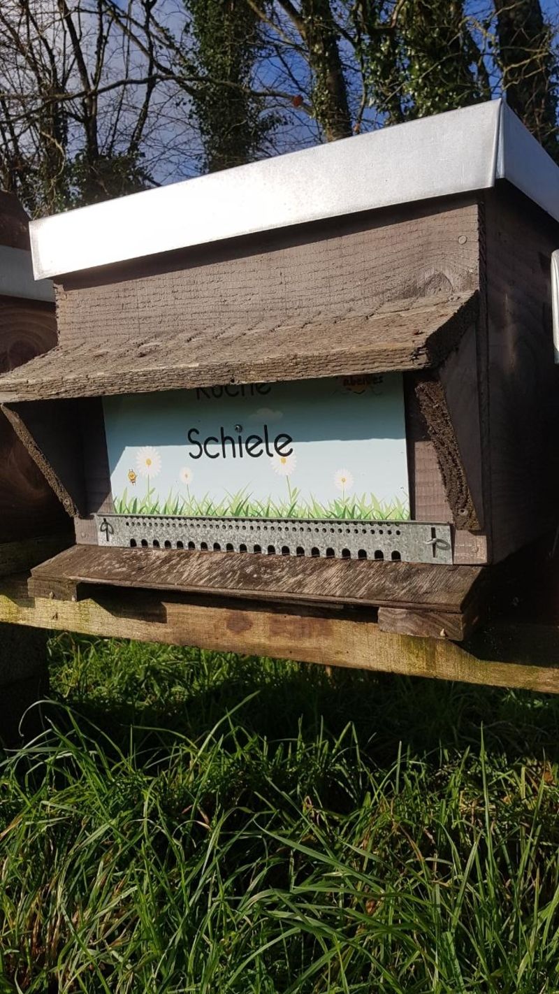 La ruche Schiele