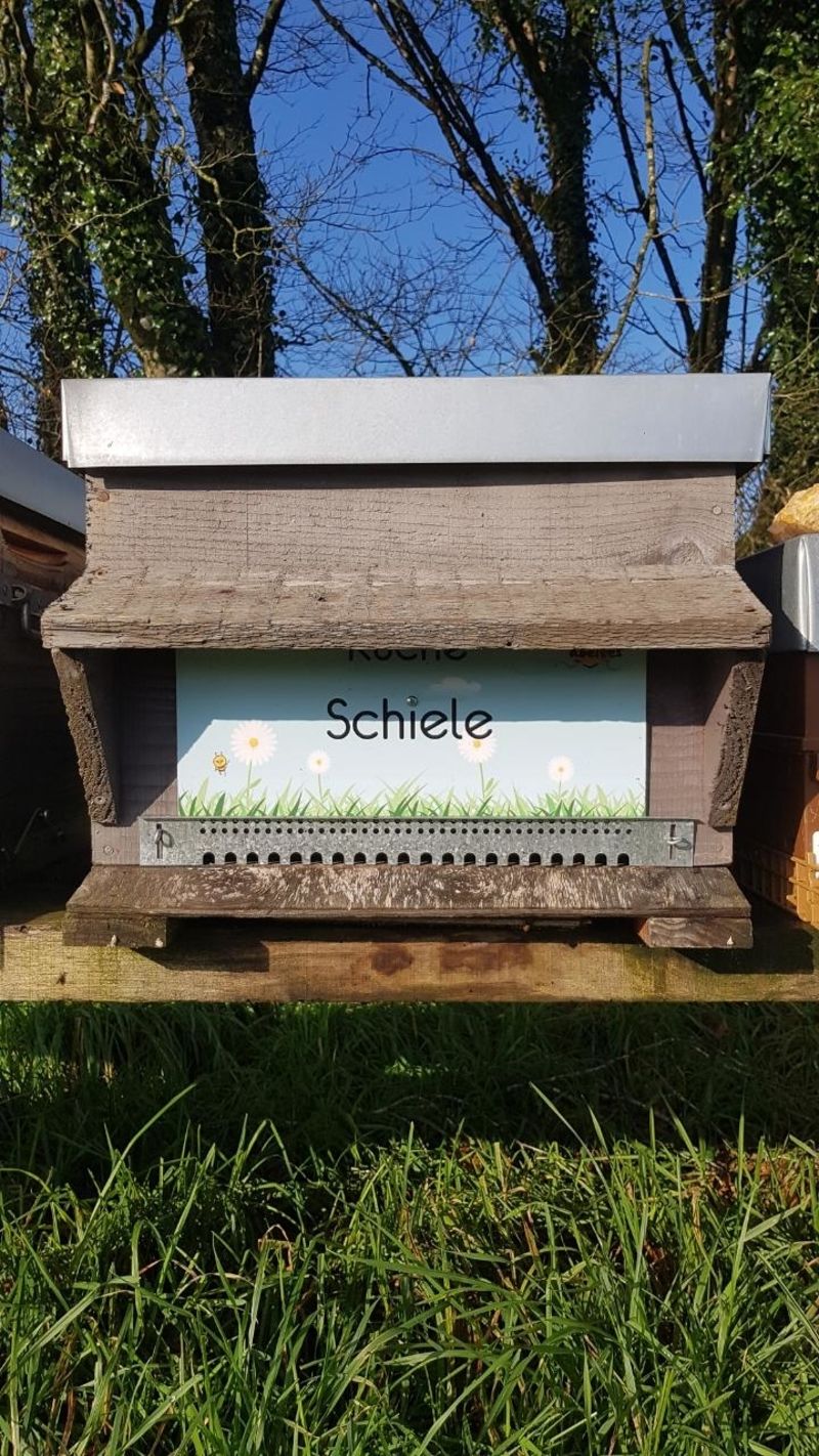 La ruche Schiele