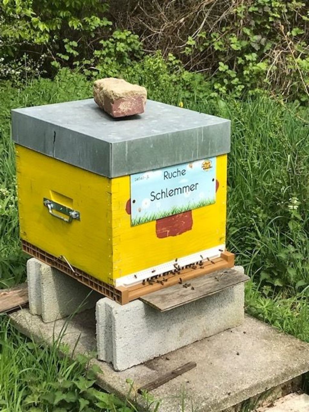 La ruche Schlemmer