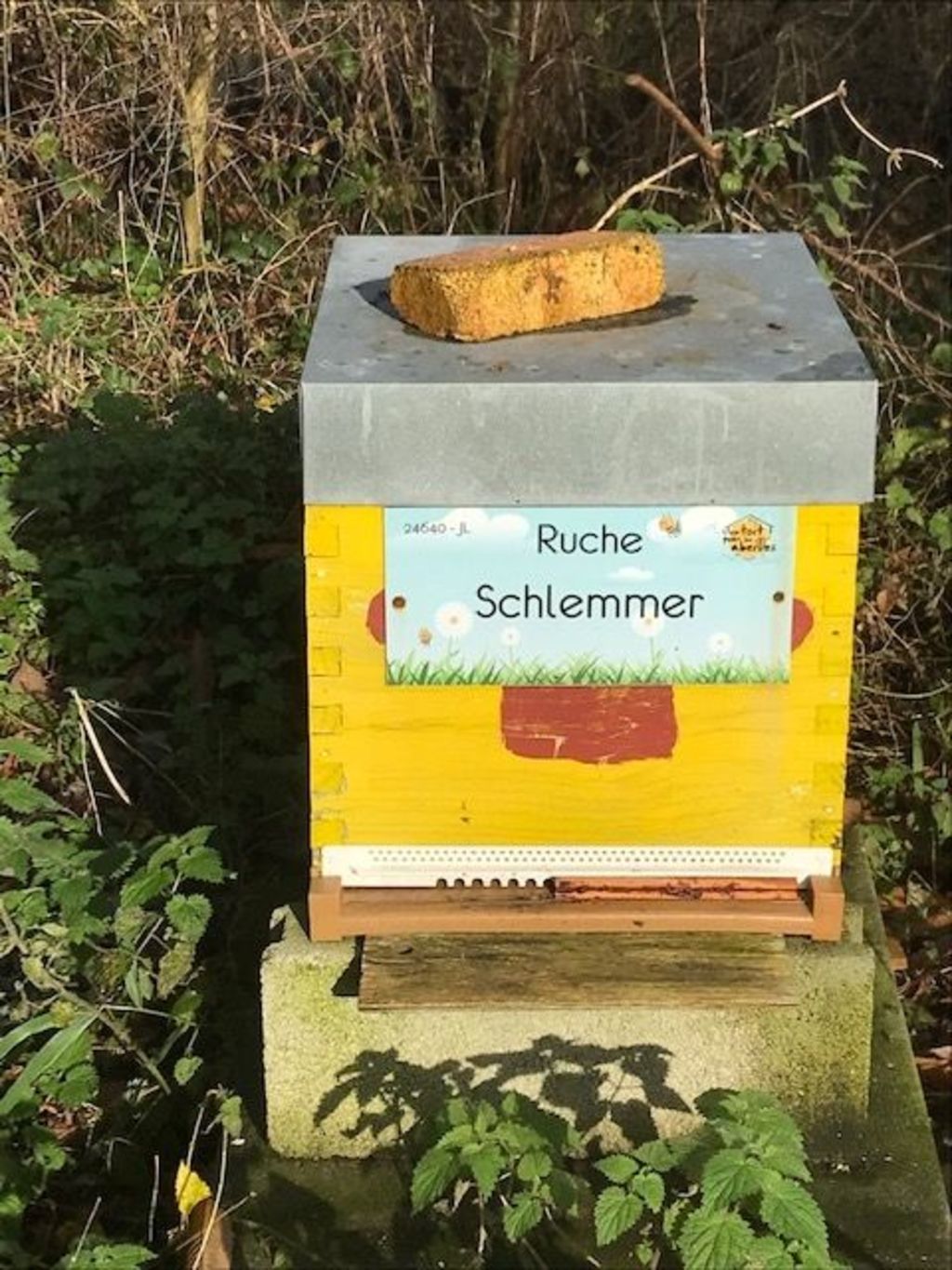 La ruche Schlemmer