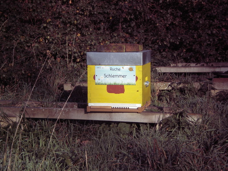 La ruche Schlemmer