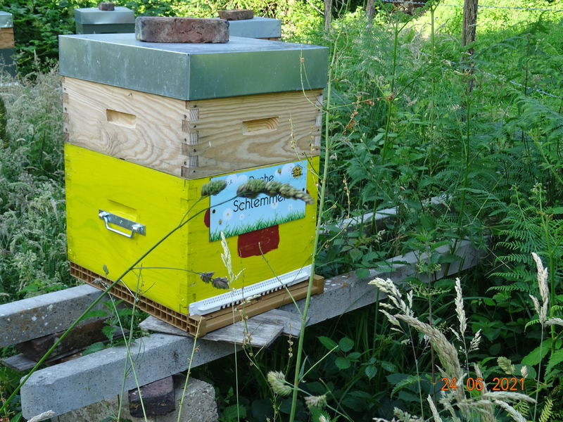 La ruche Schlemmer