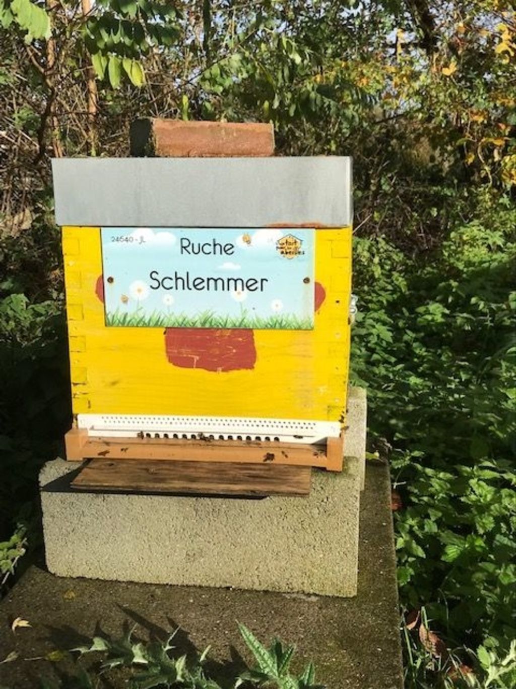 La ruche Schlemmer