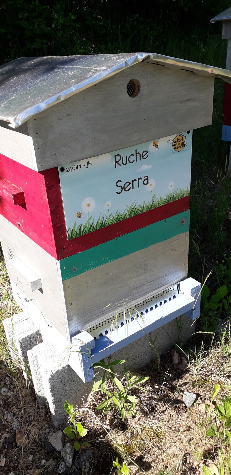La ruche