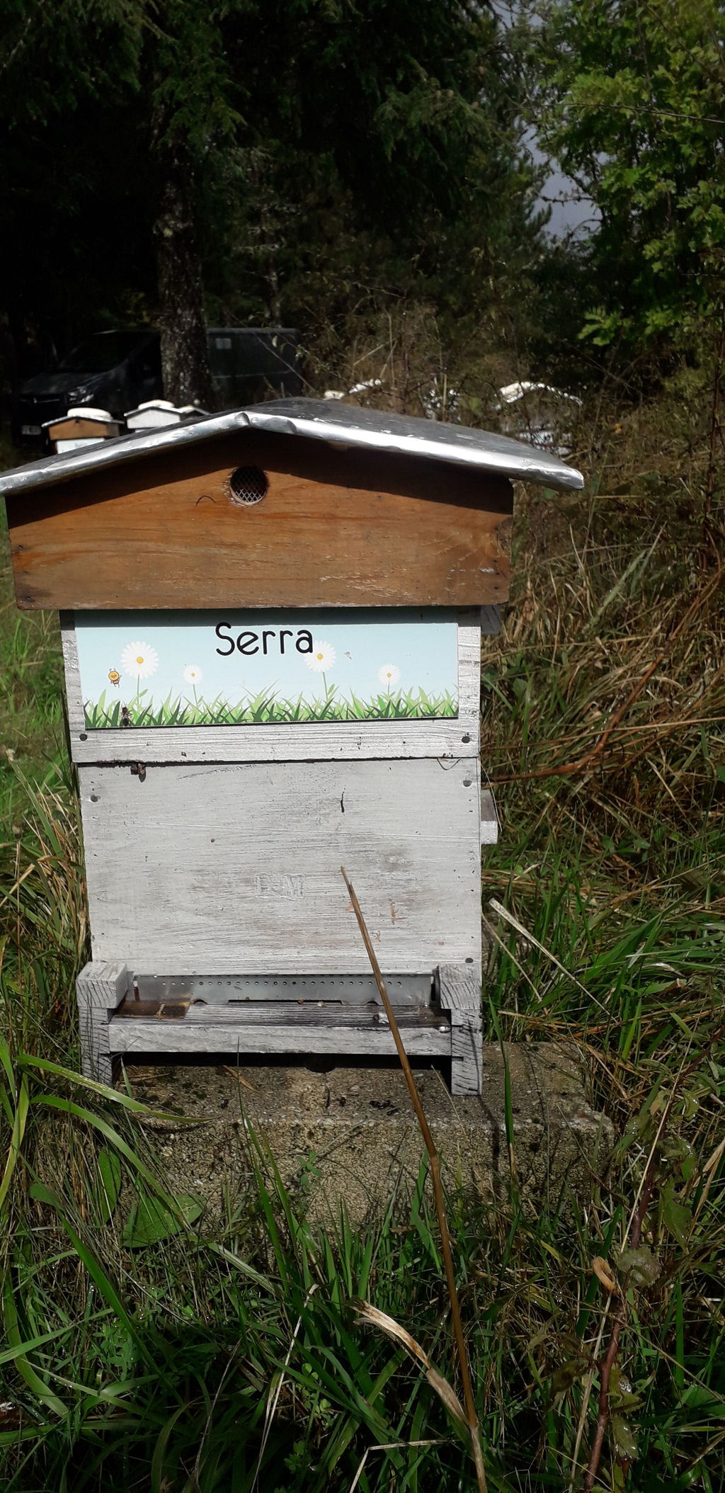 La ruche Serra