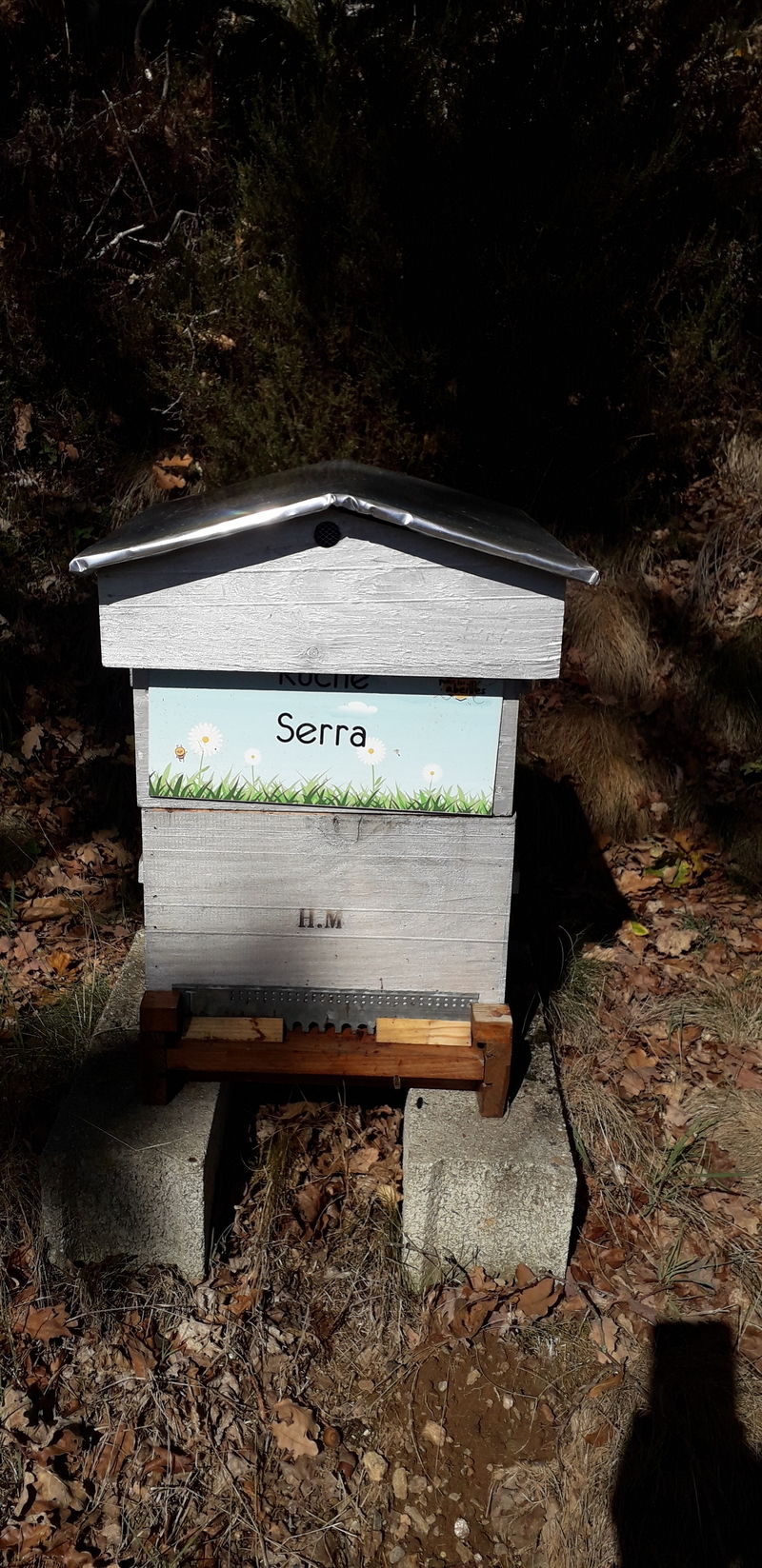 La ruche Serra