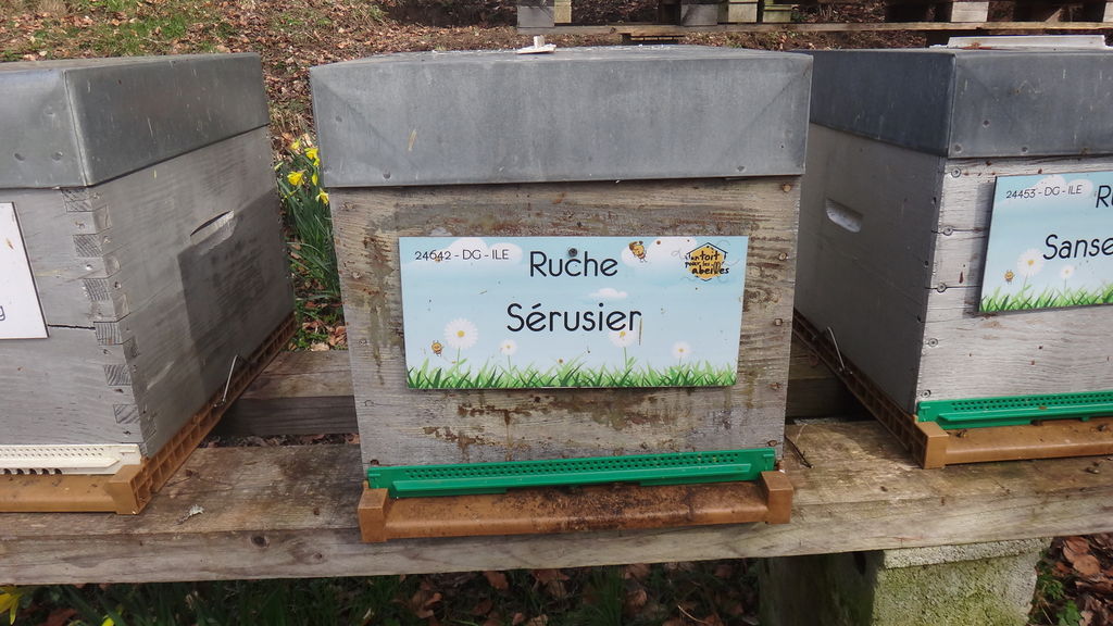 La ruche Sérusier