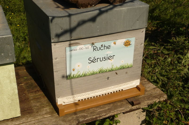 La ruche Sérusier