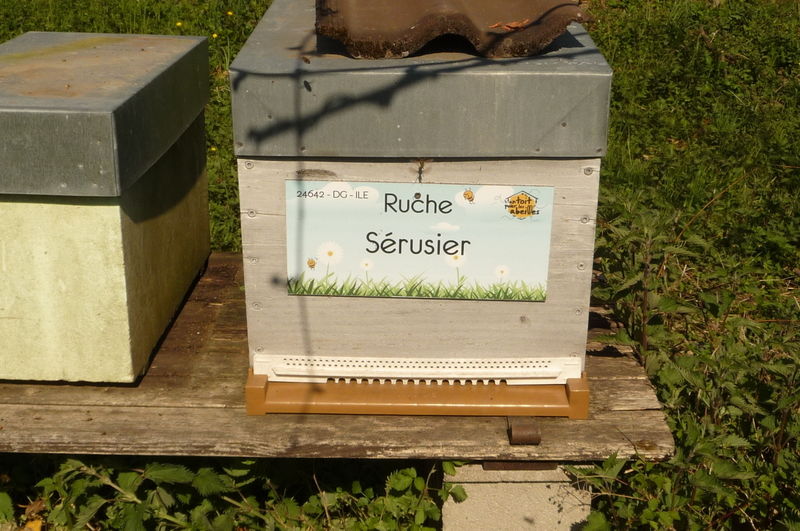 La ruche Sérusier