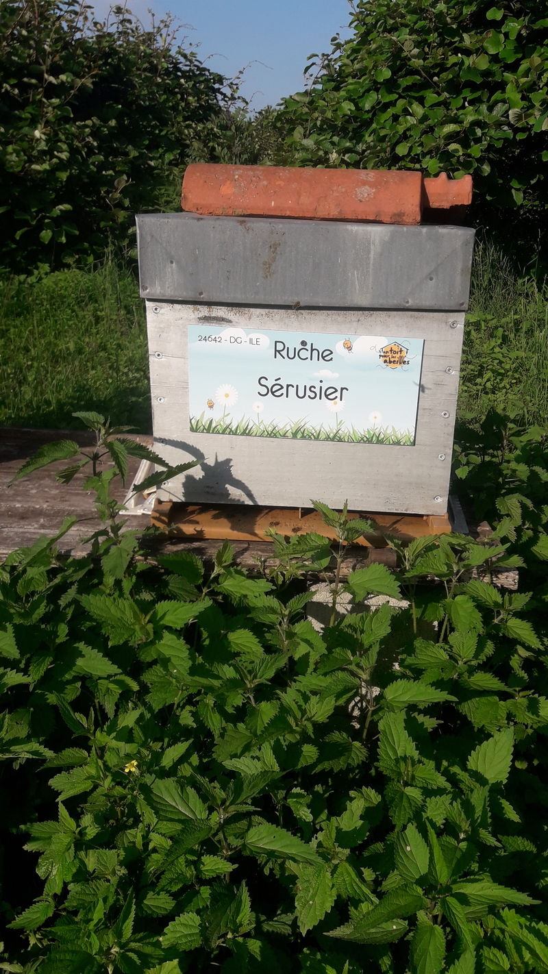 La ruche Sérusier