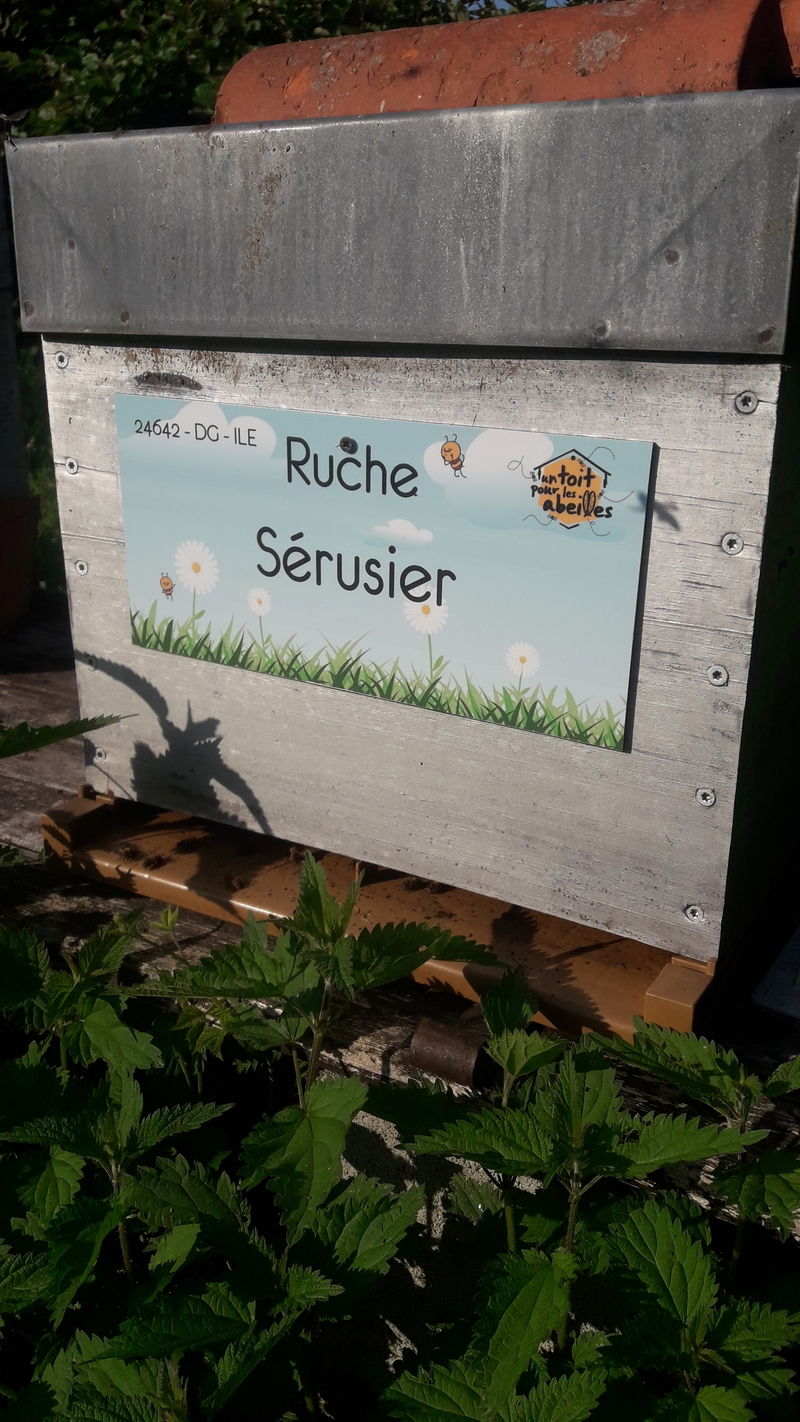La ruche Sérusier
