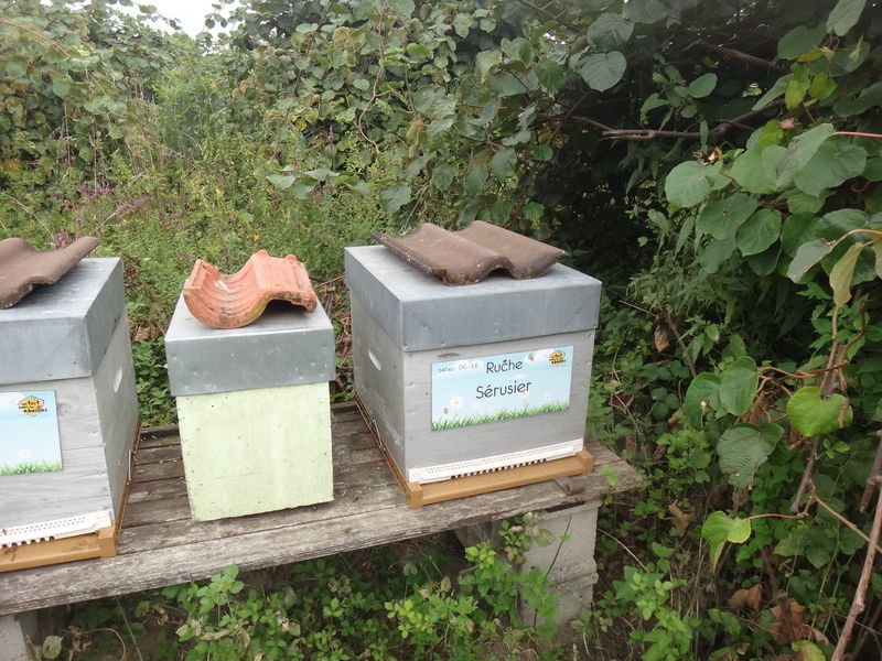 La ruche Sérusier
