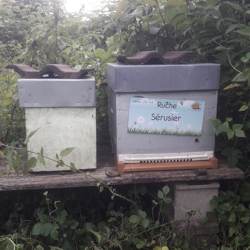 La ruche Sérusier