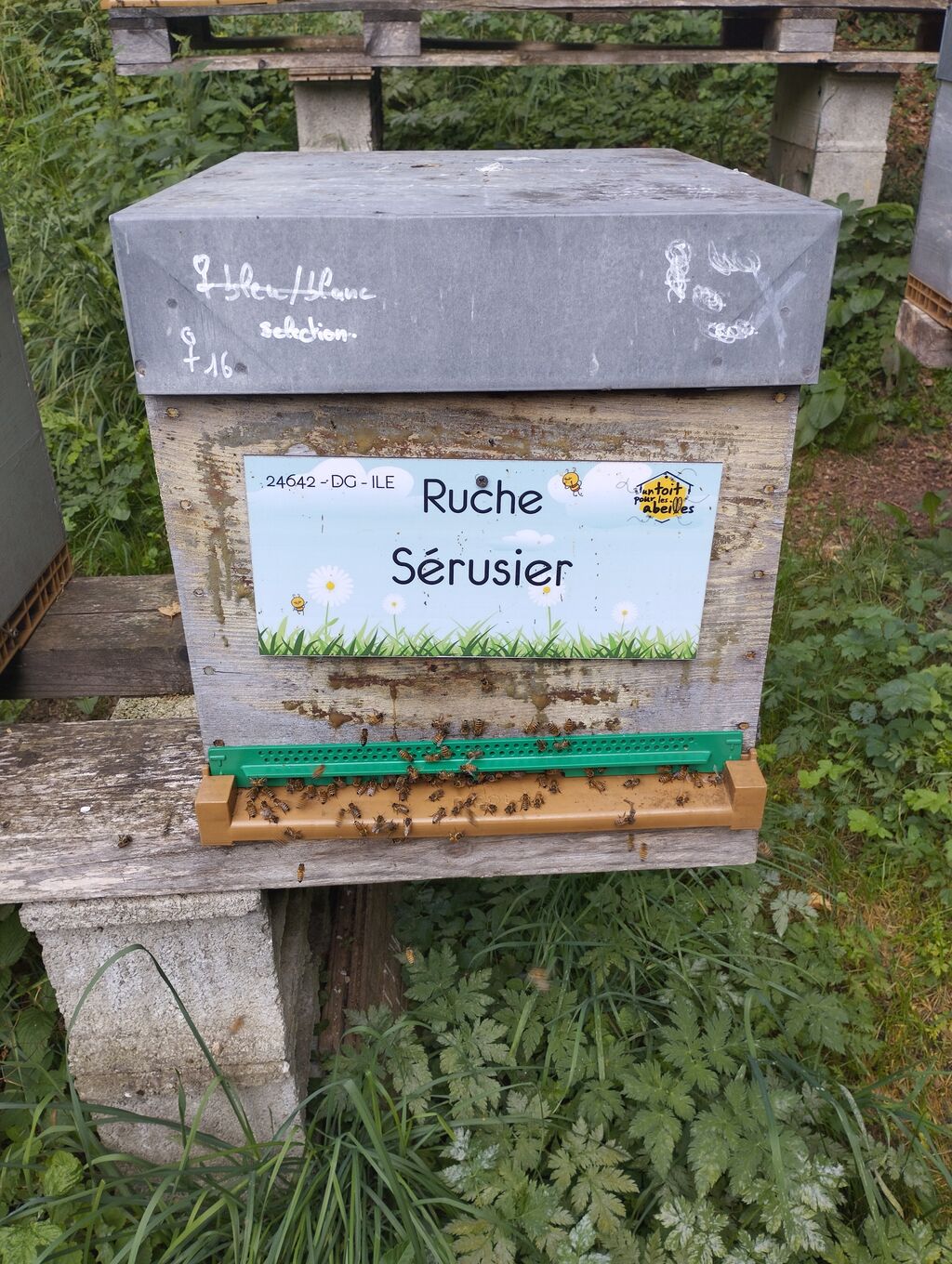 La ruche Sérusier